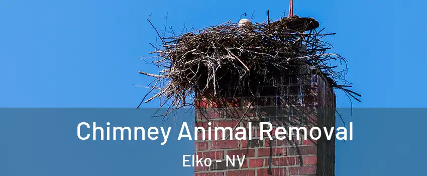  Chimney Animal Removal Elko - NV