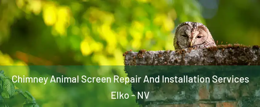  Chimney Animal Screen Repair And Installation Services Elko - NV