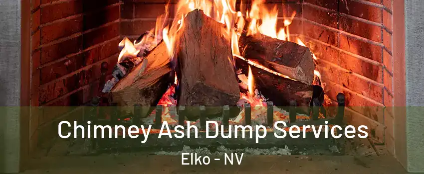  Chimney Ash Dump Services Elko - NV