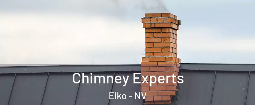  Chimney Experts Elko - NV