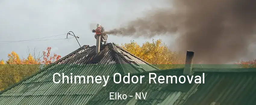  Chimney Odor Removal Elko - NV