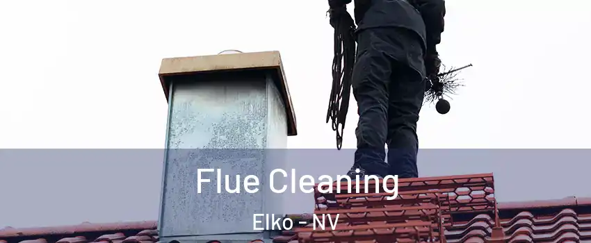 Flue Cleaning Elko - NV