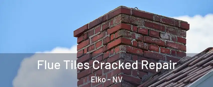  Flue Tiles Cracked Repair Elko - NV