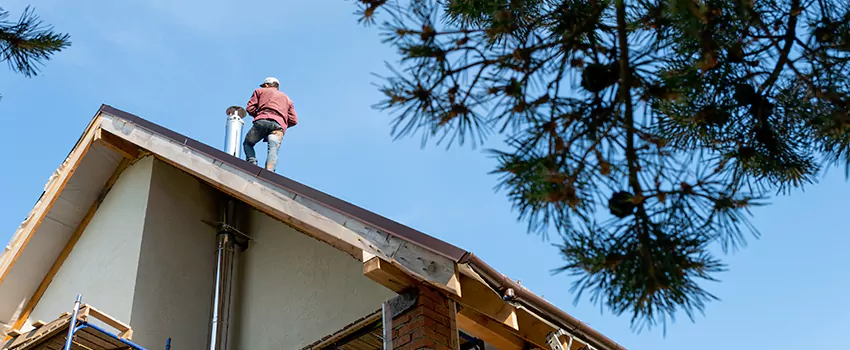 Birds Removal Contractors from Chimney in Elko, NV