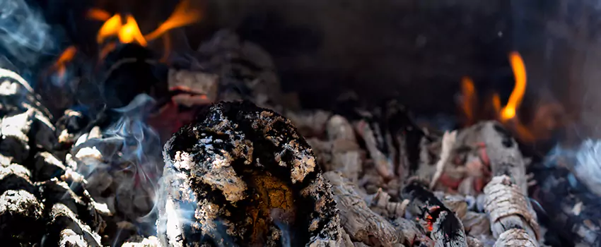 Creosote Removal Experts in Elko, NV
