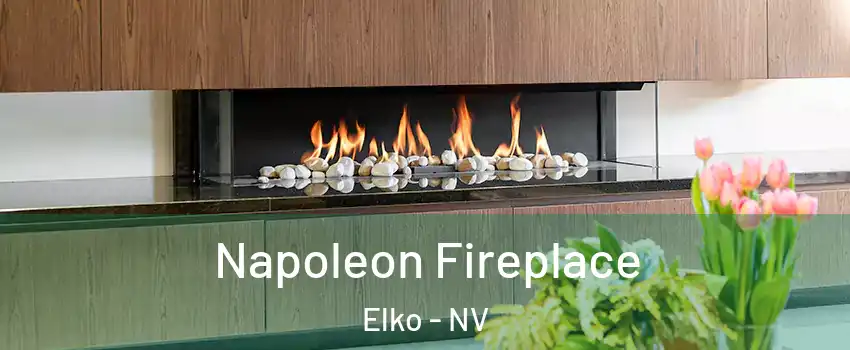  Napoleon Fireplace Elko - NV