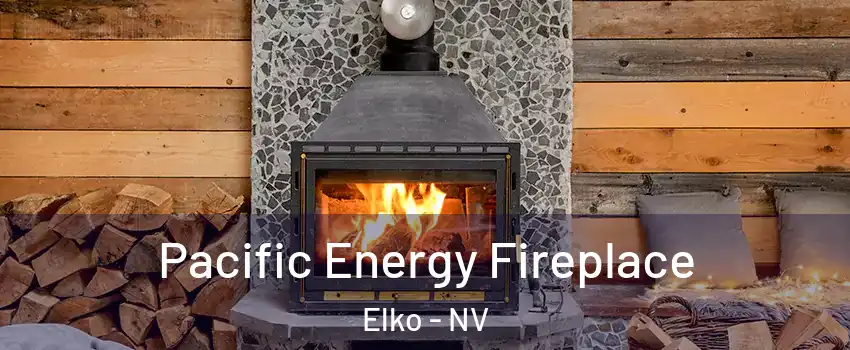  Pacific Energy Fireplace Elko - NV